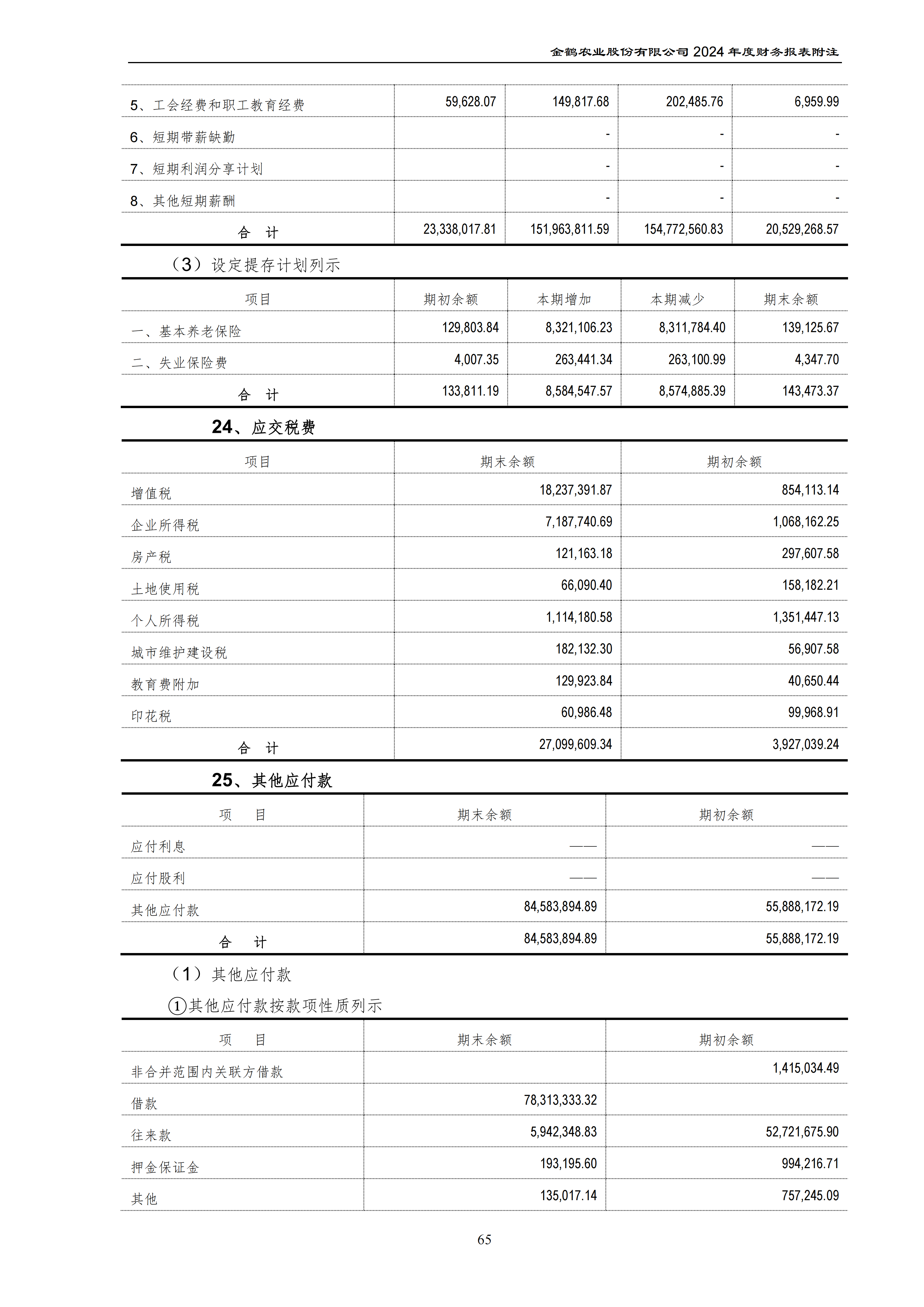 2024年年度报告_100.png