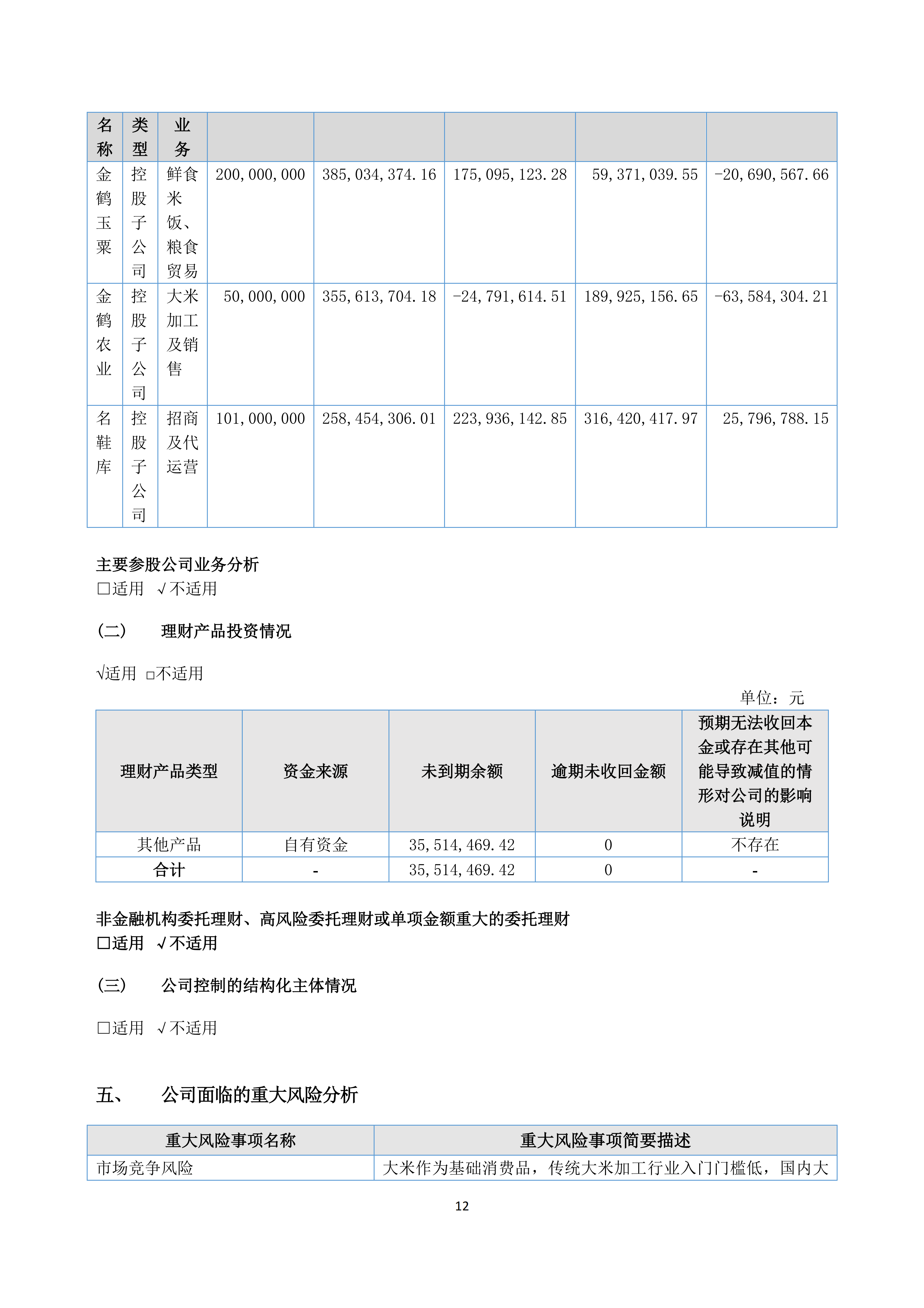 2024年年度报告_12.png