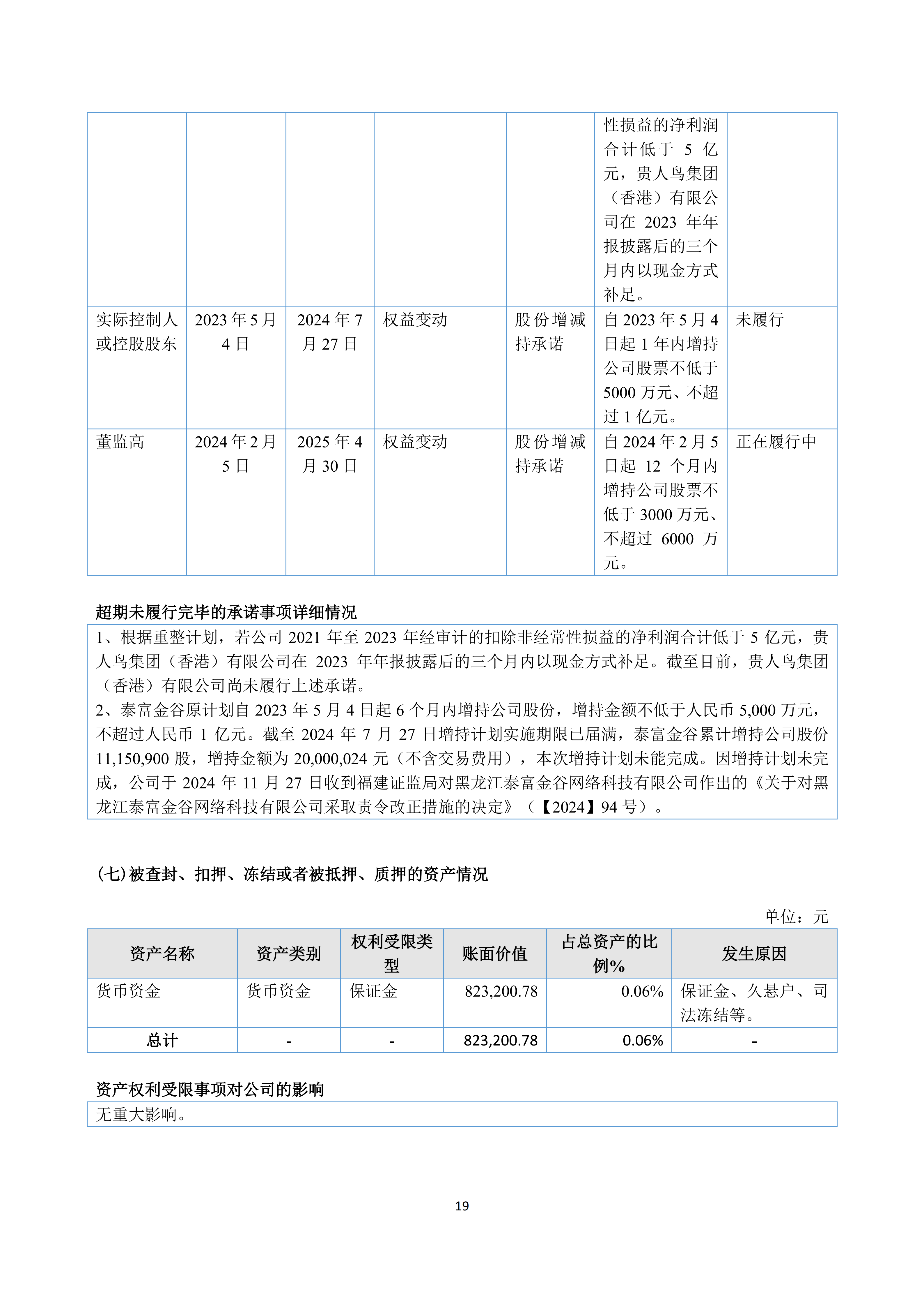 2024年年度报告_19.png
